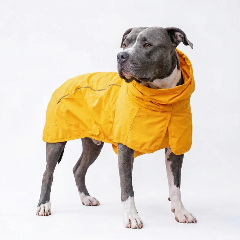 Waterproof Windproof Dog Rain Jacket with Reflective Full Body Coverage