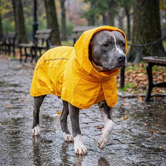 Waterproof Windproof Dog Rain Jacket with Reflective Full Body Coverage