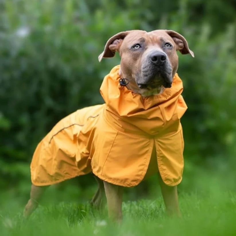 Waterproof Windproof Dog Rain Jacket with Reflective Full Body Coverage
