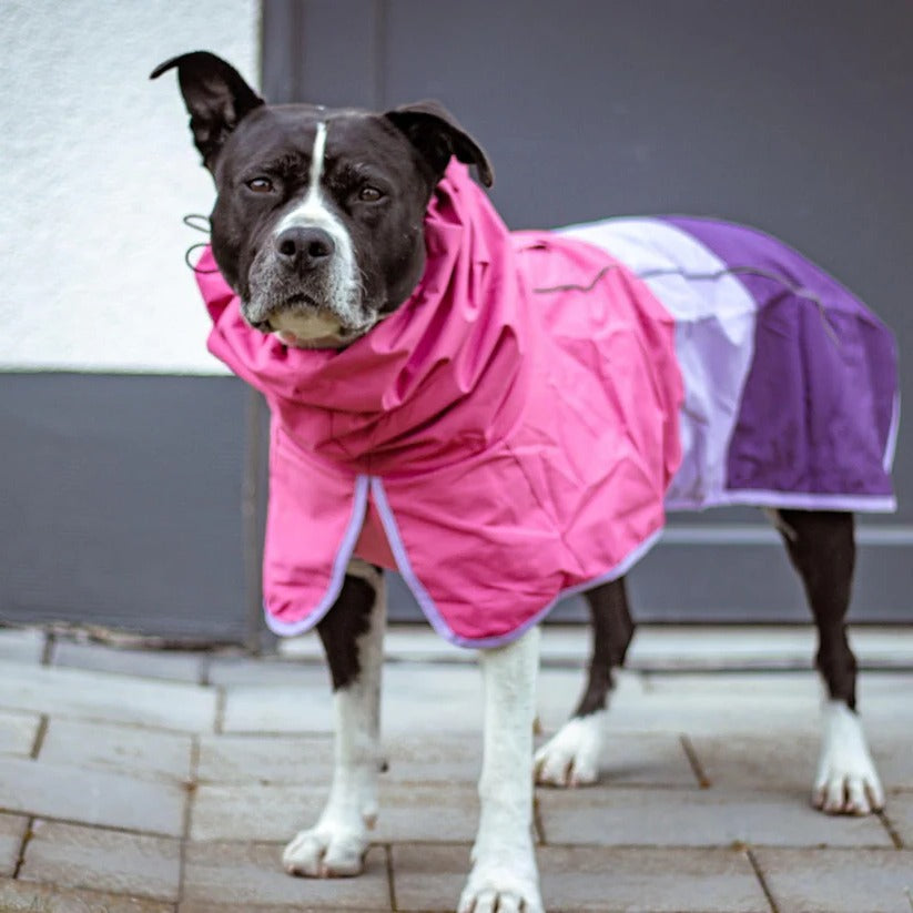 Waterproof Windproof Dog Rain Jacket with Reflective Full Body Coverage