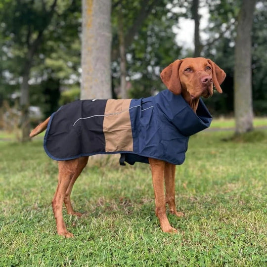 Waterproof Windproof Dog Rain Jacket with Reflective Full Body Coverage