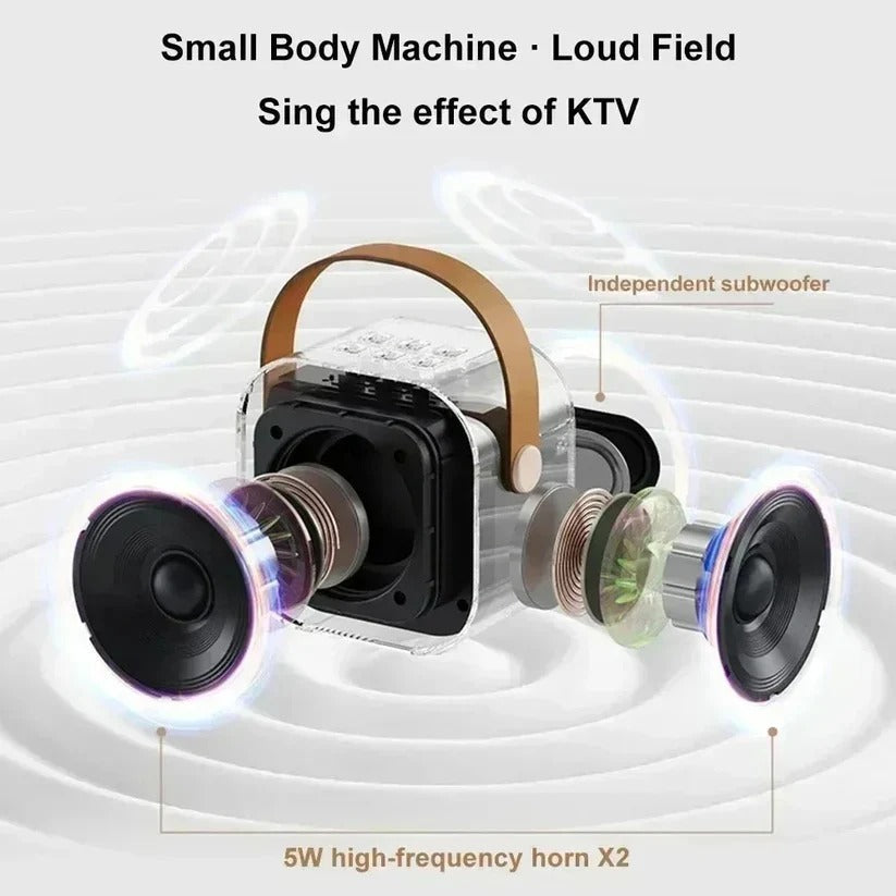 Wireless Karaoke Machine with Integrated Mic and Bluetooth Connectivity