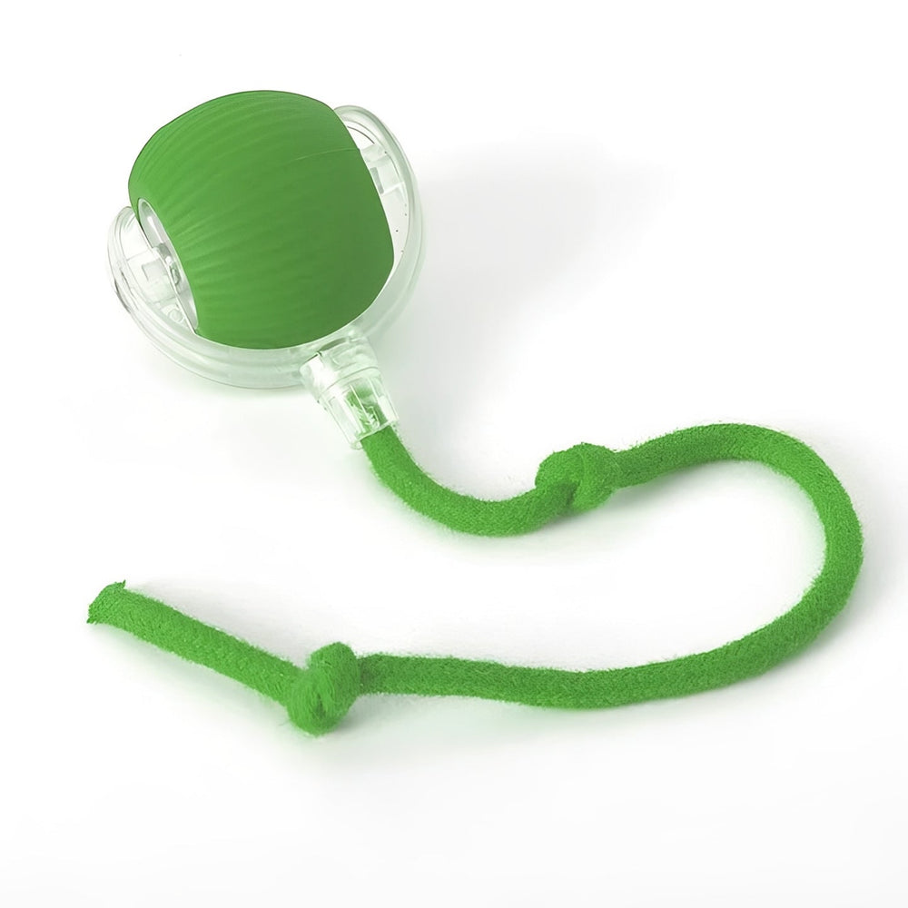 Interactive Rolling Ball Toy with Tail for Dogs