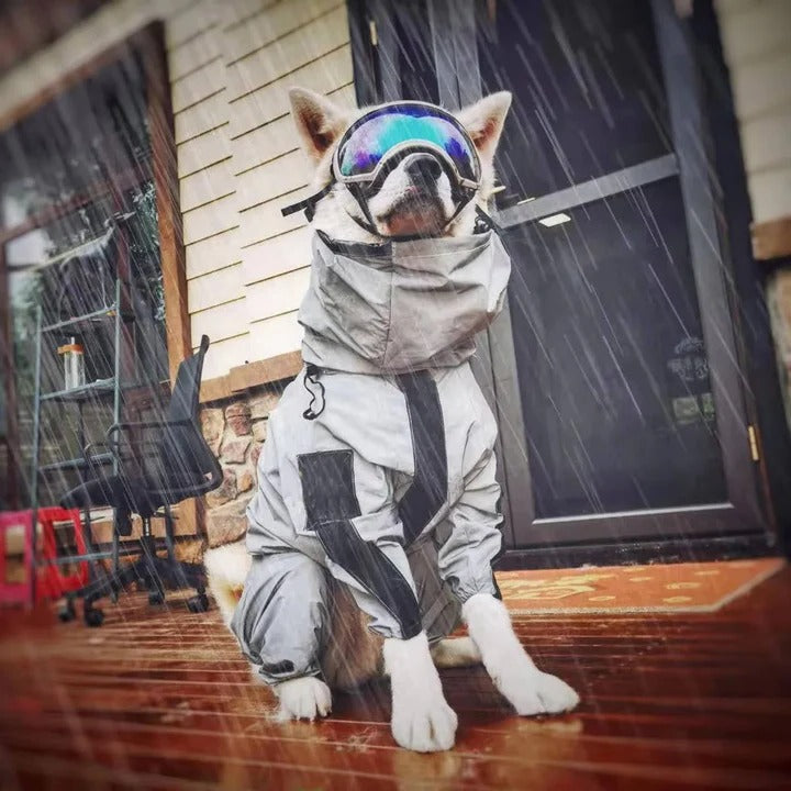 Waterproof Dog Raincoat with Adjustable Fit