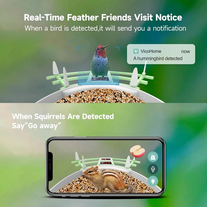 Smart Bird Feeder Camera with App Control and Night Vision