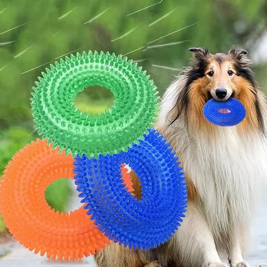 Rubber Dog Chew Ring Toy with Built-In Squeaker
