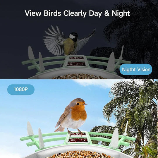 Smart Bird Feeder Camera with App Control and Night Vision