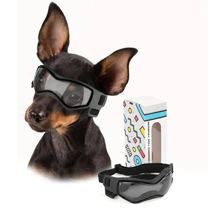 Ventilated Dog Goggles with Adjustable Strap