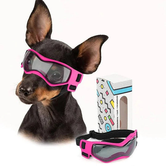 Ventilated Dog Goggles with Adjustable Strap