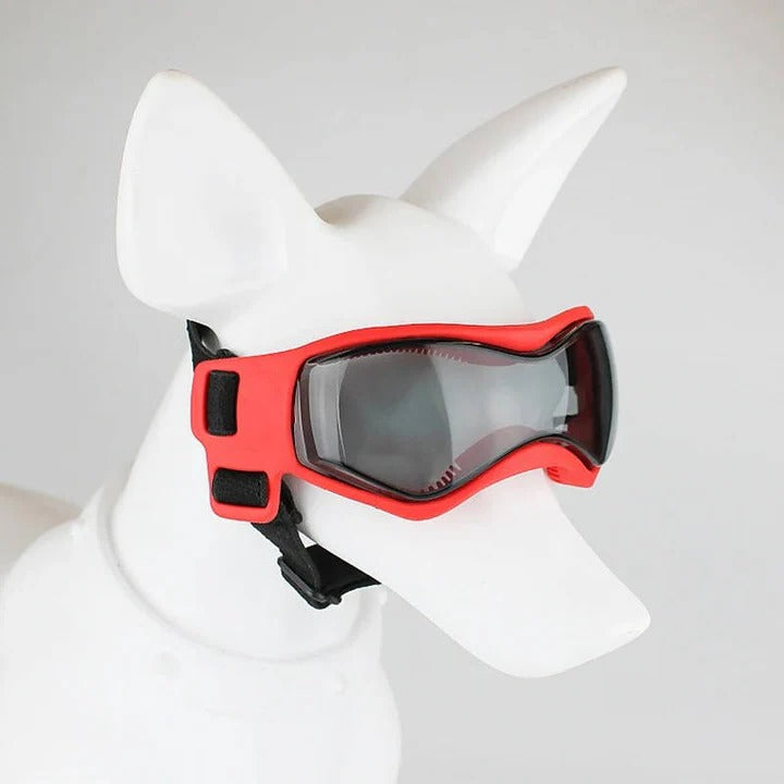 Ventilated Dog Goggles with Adjustable Strap