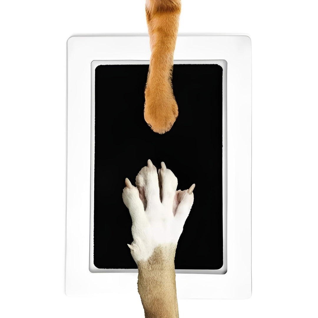 Pet Paw Print Impression Kit for Dogs