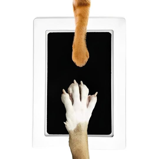 Pet Paw Print Impression Kit for Dogs