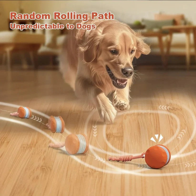 Automatic Rolling Ball Toy for Dogs with Rope, 2 Piece Set