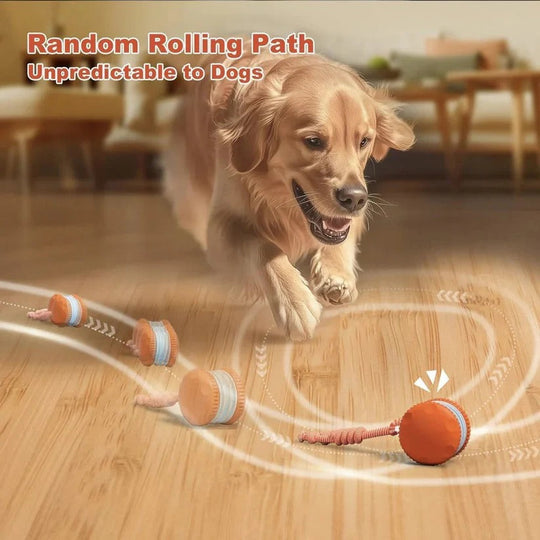 Automatic Rolling Ball Toy for Dogs with Rope, 2 Piece Set
