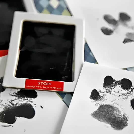 Pet Paw Print Impression Kit for Dogs