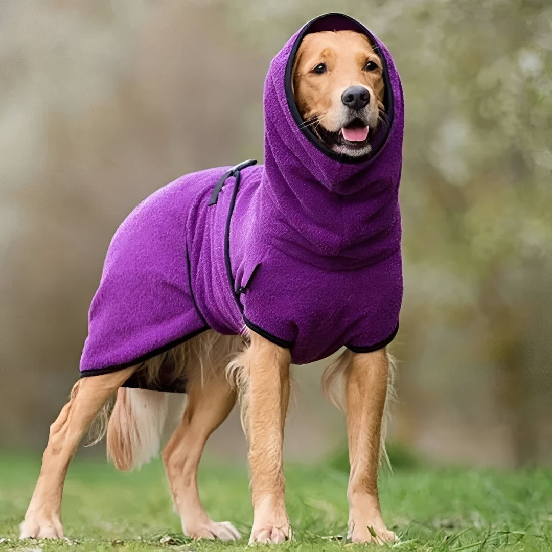 Waterproof Winter Coat for Dogs