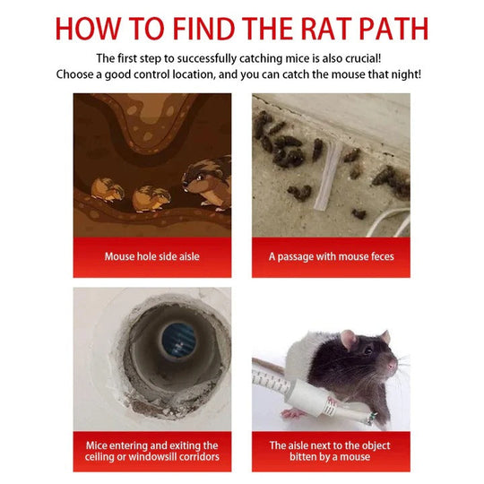 Reusable Sliding Door Rodent Cage with One Way Entry Design
