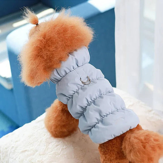 Winter Jacket with Integrated Leash Ring for Dog and Cat