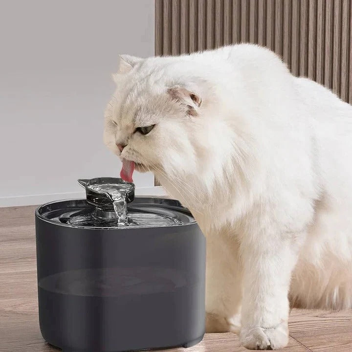 Automatic Cat Water Fountain with Filtration System