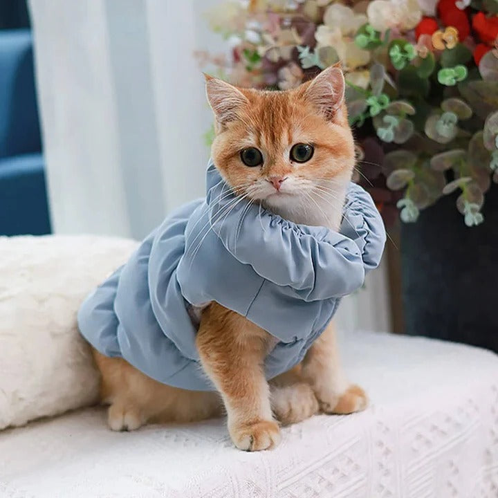 Winter Jacket with Integrated Leash Ring for Dog and Cat