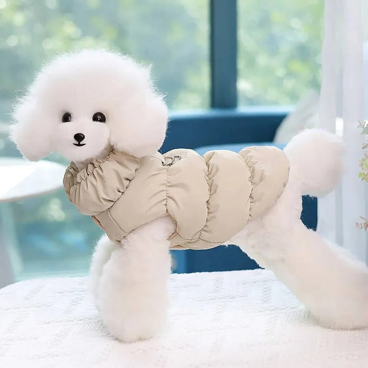 Winter Jacket with Integrated Leash Ring for Dog and Cat