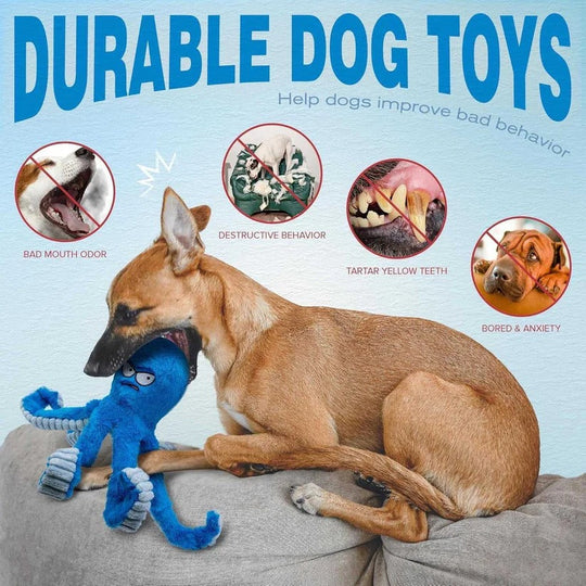Squeaky Plush Dog Toy with Crinkle and Chew Features
