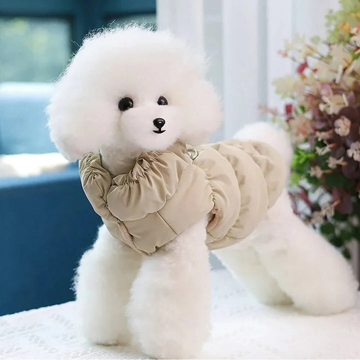 Winter Jacket with Integrated Leash Ring for Dog and Cat