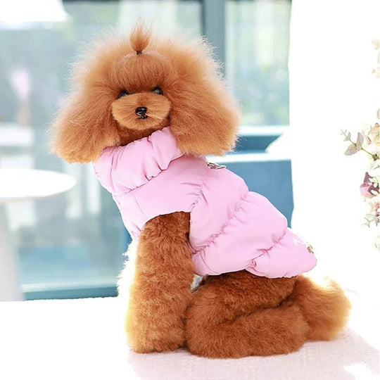 Winter Jacket with Integrated Leash Ring for Dog and Cat