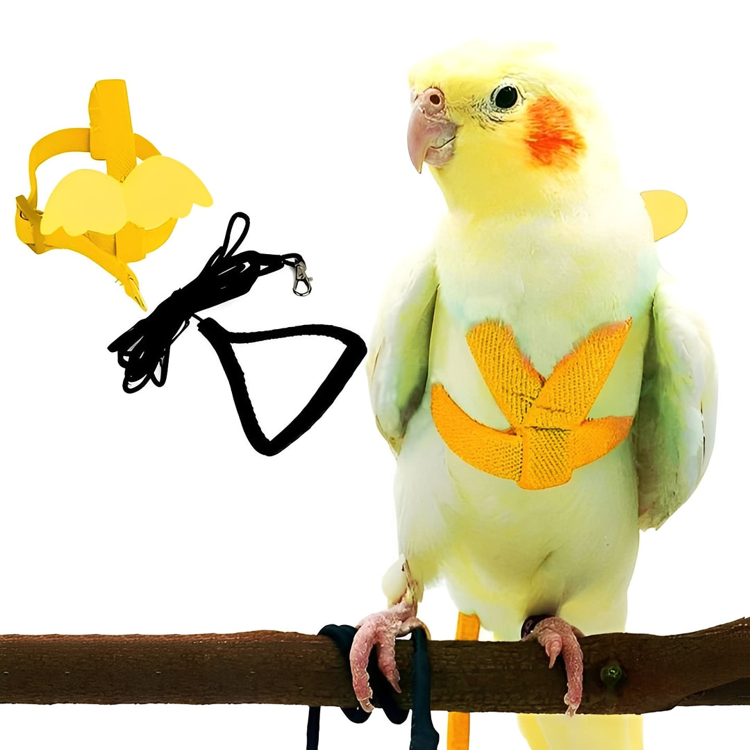 Bird Harness and Leash for Parrots