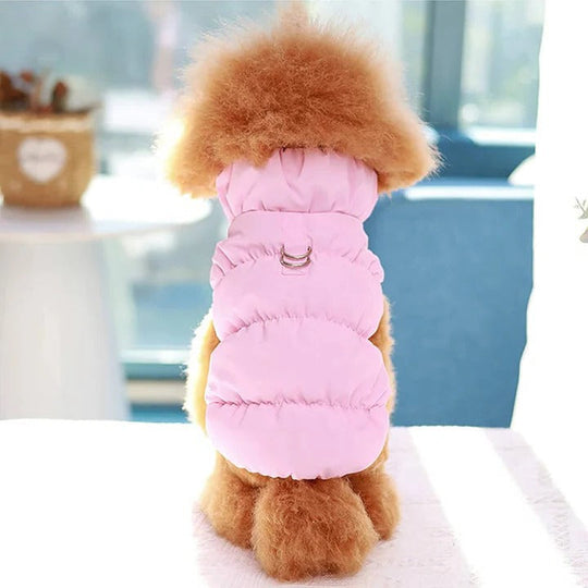 Winter Jacket with Integrated Leash Ring for Dog and Cat
