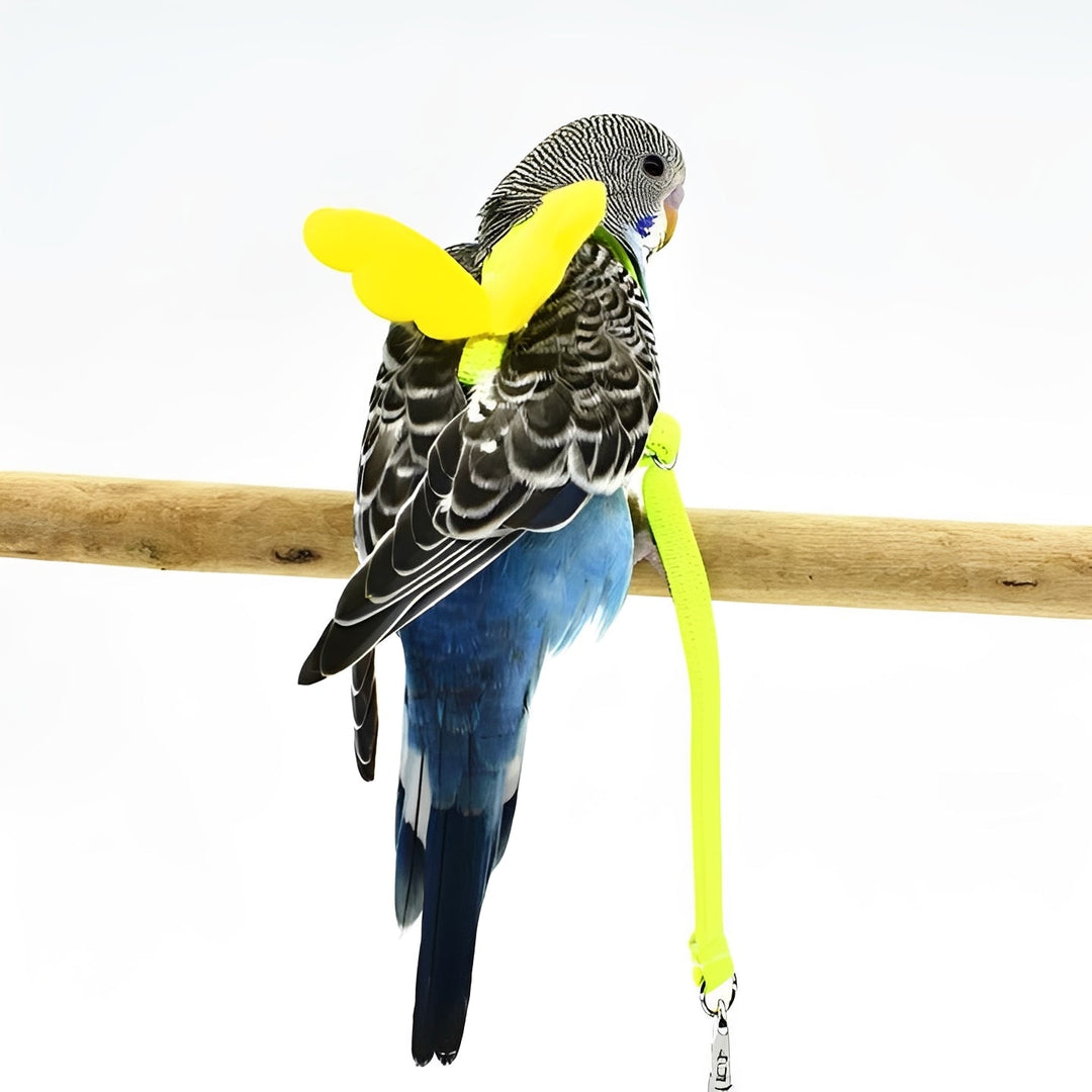 Bird Harness and Leash for Parrots