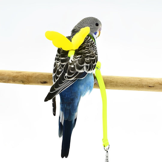 Bird Harness and Leash for Parrots