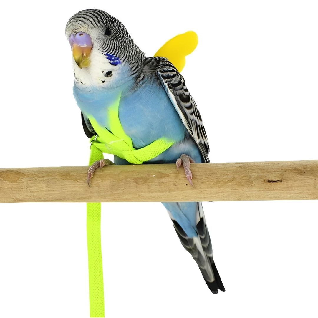 Bird Harness and Leash for Parrots