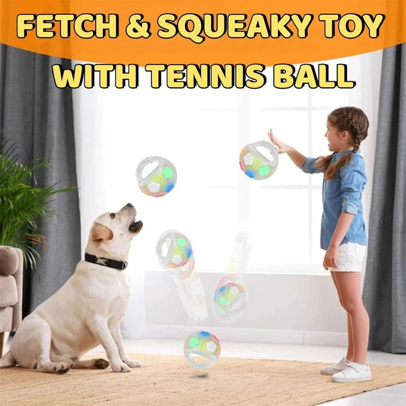 Rubber Football Dog Toy with Bottle Design for Heavy Chewers