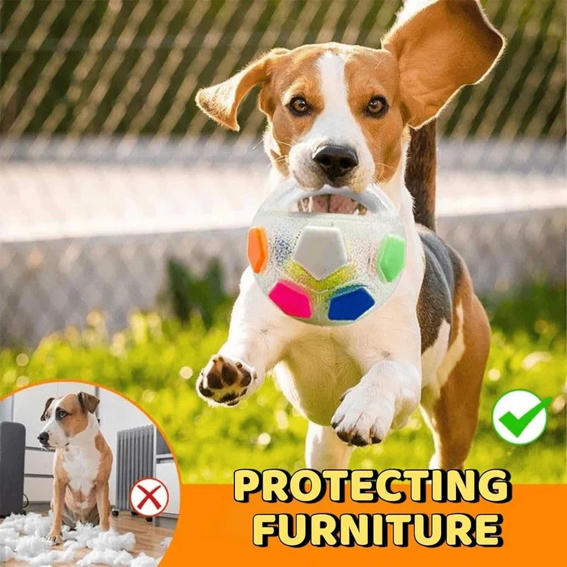 Rubber Football Dog Toy with Bottle Design for Heavy Chewers