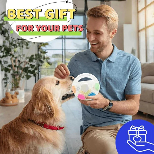 Rubber Football Dog Toy with Bottle Design for Heavy Chewers