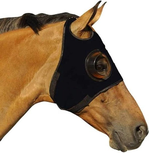 Horse Blinders with Adjustable Leather Straps