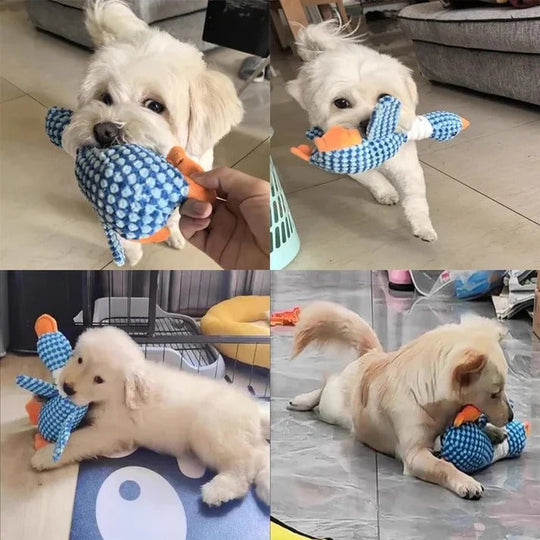 Dog Chew Toy with Plush Material and Built-In Squeaker