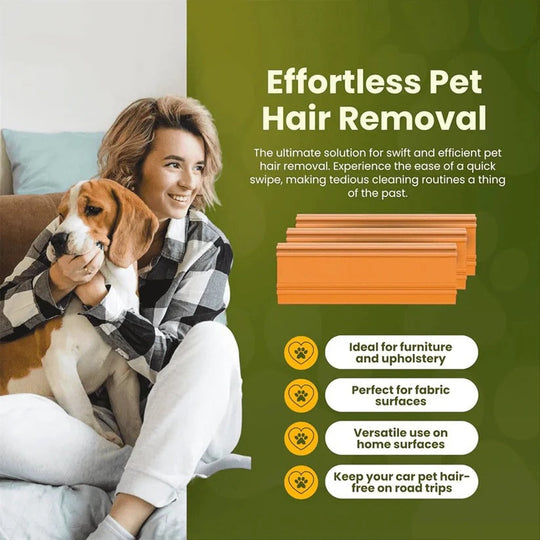 Upholstery Pet Hair Removal Tool for Cars and Furniture