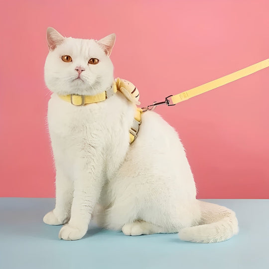 Cat Harness and Collar with Adjustable Straps