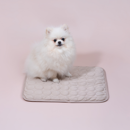 Innovative Cooling Mat for Dogs (4x Cooling Power)