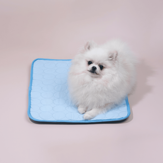 Innovative Cooling Mat for Dogs (4x Cooling Power)