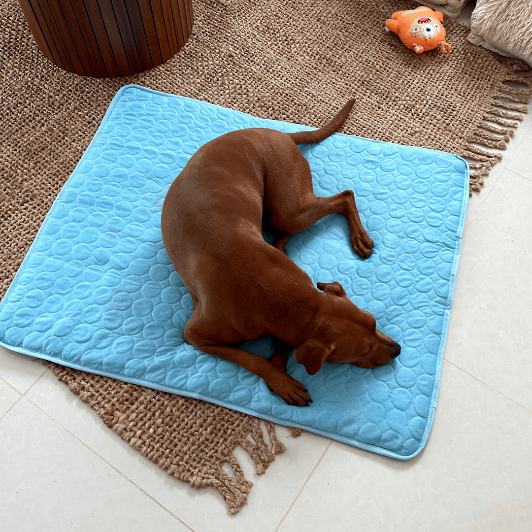 Innovative Cooling Mat for Dogs (4x Cooling Power)