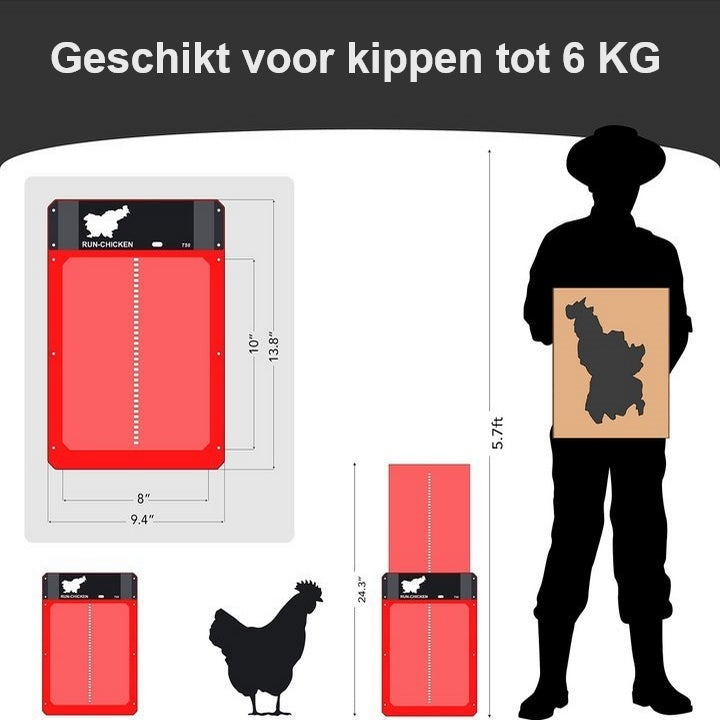 Automatic Chicken Door | Poultry PRO+