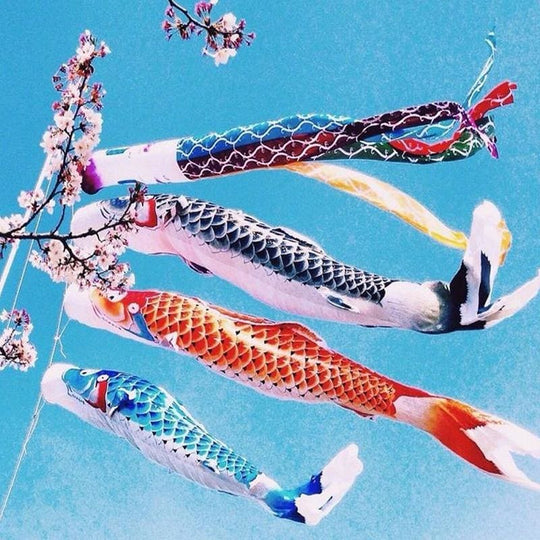 Koinobori Flag Hanan (3 Sizes)