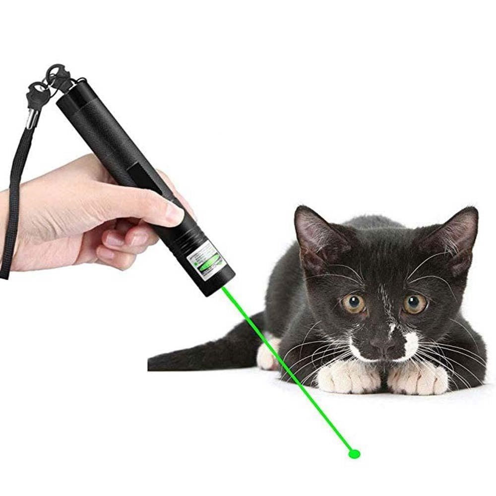 High-Performance Laser Pointer 303
