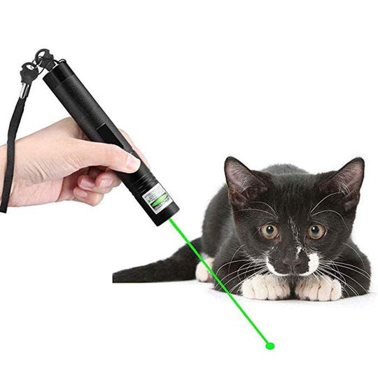 High-Performance Laser Pointer 303