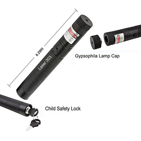 High-Performance Laser Pointer 303