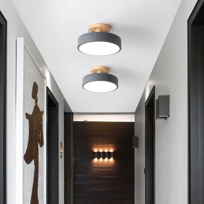 Modern LED Ceiling Light