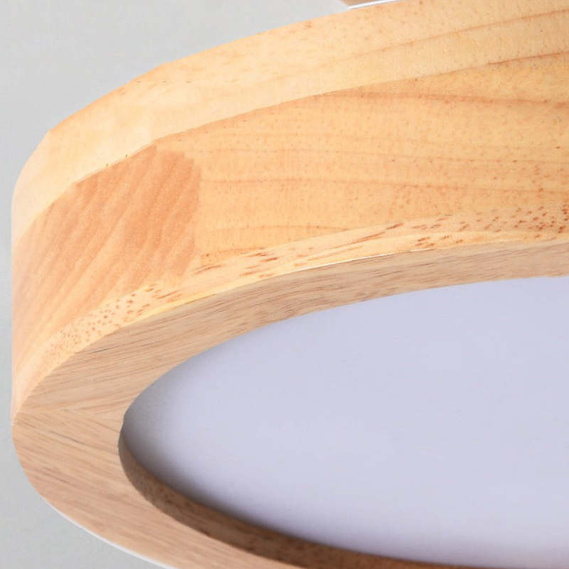 Modern LED Ceiling Light